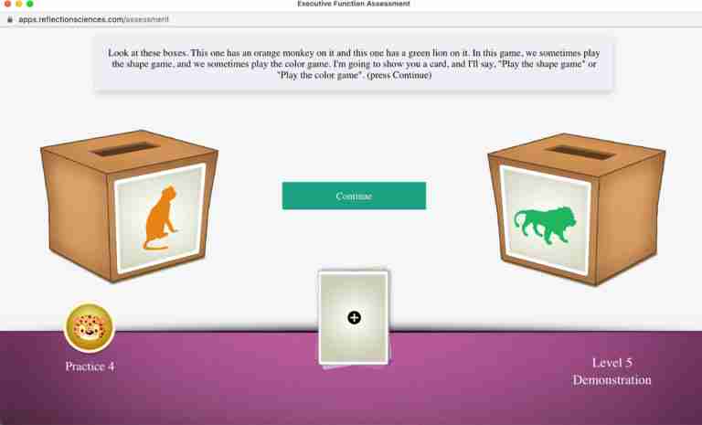 screenshot of Reflection Sciences EFgoPro Assessment Interface